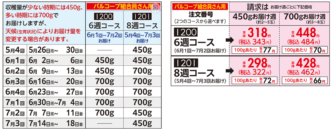 2025トマト.png